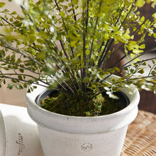 Load image into Gallery viewer, MAIDENHAIR DROP-IN 30"
