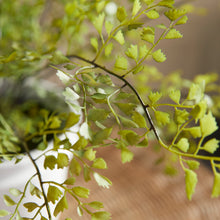 Load image into Gallery viewer, MAIDENHAIR DROP-IN 30"