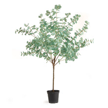 Load image into Gallery viewer, EUCALYPTUS TREE DROP-IN 49"