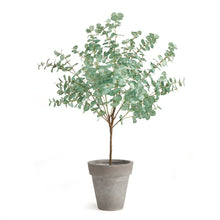Load image into Gallery viewer, EUCALYPTUS TREE DROP-IN 49"