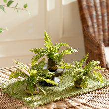 Load image into Gallery viewer, BOSTON FERN DROP-INS, SET OF 3