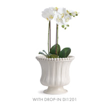 Load image into Gallery viewer, COLETTA PETITE FLARED VASE