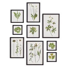 Load image into Gallery viewer, FOLIAGE PRINTS, SET OF 9