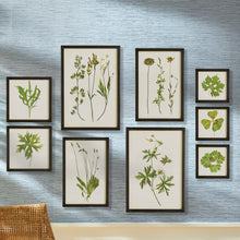 Load image into Gallery viewer, FOLIAGE PRINTS, SET OF 9