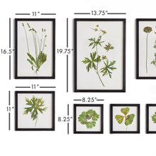 Load image into Gallery viewer, FOLIAGE PRINTS, SET OF 9