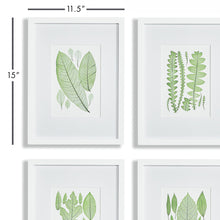 Load image into Gallery viewer, ASSORTED LEAF PRINTS, SET OF 4