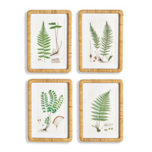 Load image into Gallery viewer, FOREST FERN PRINTS, SET OF 4