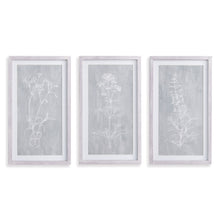 Load image into Gallery viewer, SKETCHED BOTANICAL PRINTS, SET OF 3