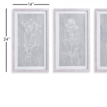 Load image into Gallery viewer, SKETCHED BOTANICAL PRINTS, SET OF 3