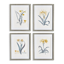 Load image into Gallery viewer, DAFFODIL PRINTS, SET OF 4