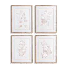 Load image into Gallery viewer, BLUSH BOTANICAL STUDY, SET OF 4