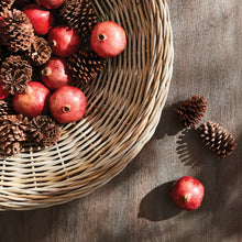 Load image into Gallery viewer, ELOISE DISPLAY BASKET
