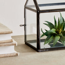 Load image into Gallery viewer, COTTAGE TERRARIUM SMALL