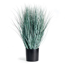 Load image into Gallery viewer, BLUE OAT GRASS DROP-IN 32"