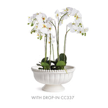 Load image into Gallery viewer, COLETTA DECORATIVE FOOTED LOW BOWL