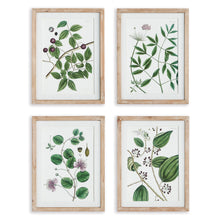 Load image into Gallery viewer, VERDANT BRANCH PRINTS, SET OF 4