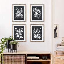 Load image into Gallery viewer, MONOCHROME BOTANICAL PRINTS, SET OF 4