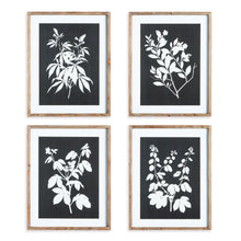 Load image into Gallery viewer, MONOCHROME BOTANICAL PRINTS, SET OF 4