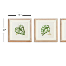 Load image into Gallery viewer, LEAF CUTTINGS PETITE PRINTS, SET OF 3