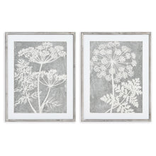 Load image into Gallery viewer, BLOOMING QUEEN ANNE'S LACE PRINTS, SET OF 2