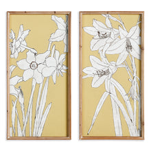 Load image into Gallery viewer, FLOWERING AMARYLLIS PRINTS, SET OF 2