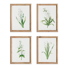 Load image into Gallery viewer, GARDEN BLOOM PRINTS, SET OF 4
