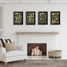 Load image into Gallery viewer, GOLDEN BOTANICAL STUDY, SET OF 4