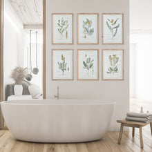 Load image into Gallery viewer, MID-SUMMER BLOOMS PRINTS, SET OF 6