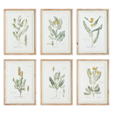 Load image into Gallery viewer, MID-SUMMER BLOOMS PRINTS, SET OF 6