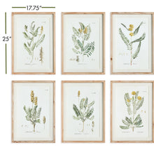 Load image into Gallery viewer, MID-SUMMER BLOOMS PRINTS, SET OF 6
