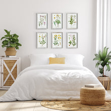 Load image into Gallery viewer, PERENNIAL BOTANICAL STUDY, SET OF 6