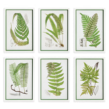 Load image into Gallery viewer, LAYERED FERN PRINTS, SET OF 6