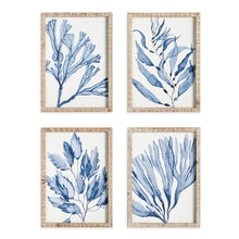 Load image into Gallery viewer, MARINE PRINTS, SET OF 4