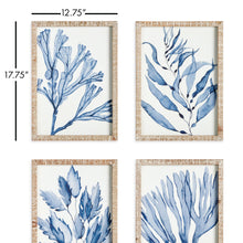 Load image into Gallery viewer, MARINE PRINTS, SET OF 4
