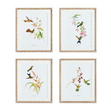 Load image into Gallery viewer, PLAYFUL HUMMINGBIRD PRINTS, SET OF 4