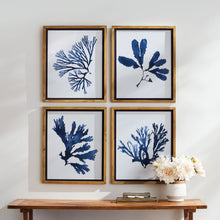 Load image into Gallery viewer, INDIGO SEAWEED PRINTS, SET OF 4