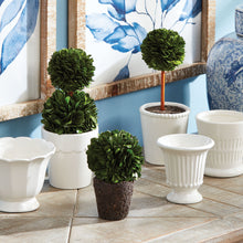 Load image into Gallery viewer, BOXWOOD MINI TOPIARY DROP-INS, SET OF 3