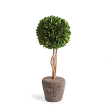 Load image into Gallery viewer, BOXWOOD SINGLE SPHERE TOPIARY DROP-IN 16"
