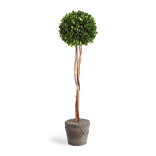 Load image into Gallery viewer, BOXWOOD SINGLE SPHERE TOPIARY DROP-IN 24"