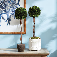 Load image into Gallery viewer, BOXWOOD SINGLE SPHERE TOPIARY DROP-IN 24"