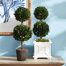 Load image into Gallery viewer, BOXWOOD DOUBLE SPHERE TOPIARY DROP-IN 20"