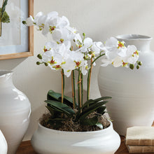 Load image into Gallery viewer, PHALAENOPSIS ORCHID BOWL DROP-IN 20"