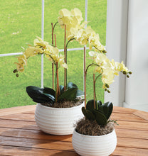 Load image into Gallery viewer, PHALAENOPSIS ORCHID DROP-IN 30"