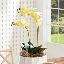 Load image into Gallery viewer, PHALAENOPSIS ORCHID DROP-IN 23"