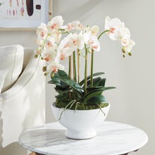 Load image into Gallery viewer, PHALAENOPSIS ORCHID BOWL DROP-IN 18.5"