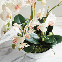 Load image into Gallery viewer, PHALAENOPSIS ORCHID BOWL DROP-IN 18.5"