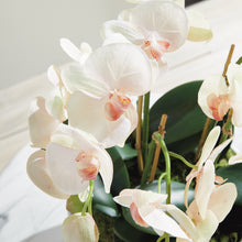 Load image into Gallery viewer, PHALAENOPSIS ORCHID BOWL DROP-IN 18.5"
