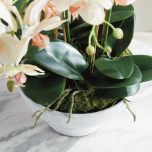Load image into Gallery viewer, PHALAENOPSIS ORCHID BOWL DROP-IN 18.5"