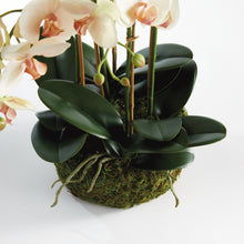 Load image into Gallery viewer, PHALAENOPSIS ORCHID BOWL DROP-IN 18.5"