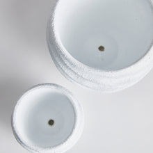 Load image into Gallery viewer, ECHOLS POTS, SET OF 2